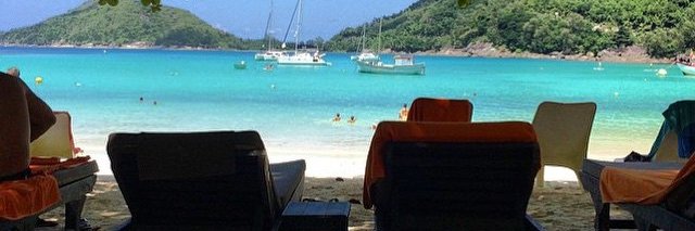 Permelia Twigg banner