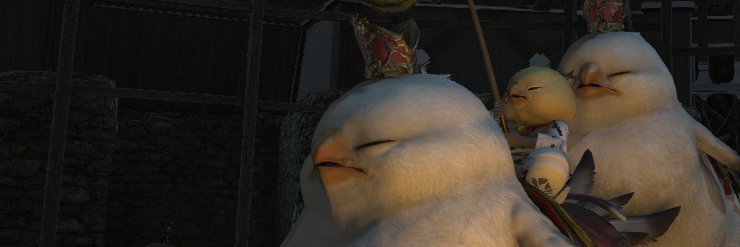 vanising's profile banner image