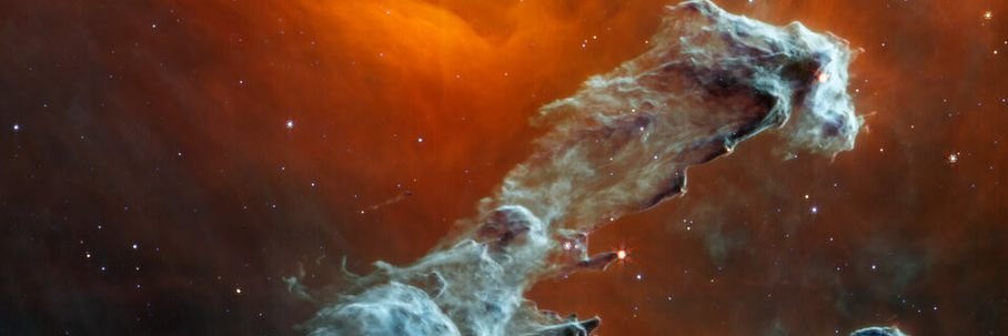 Bio moon banner