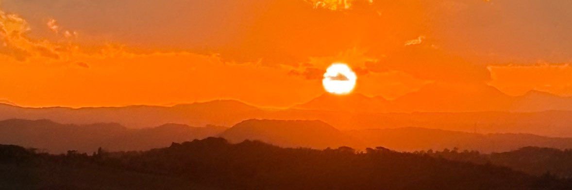 yokko banner