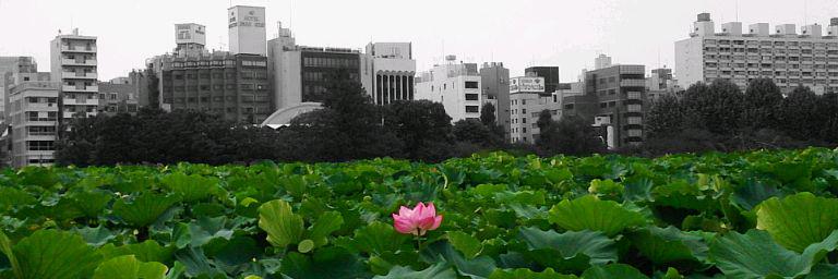 スモーキーしゅーまい banner