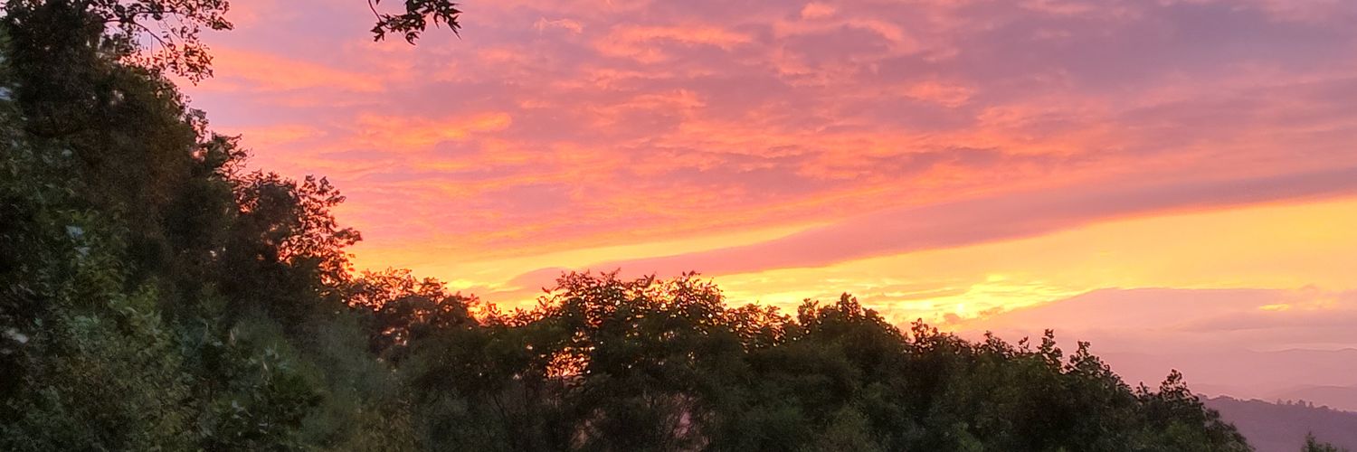 shoepeg64's profile banner image