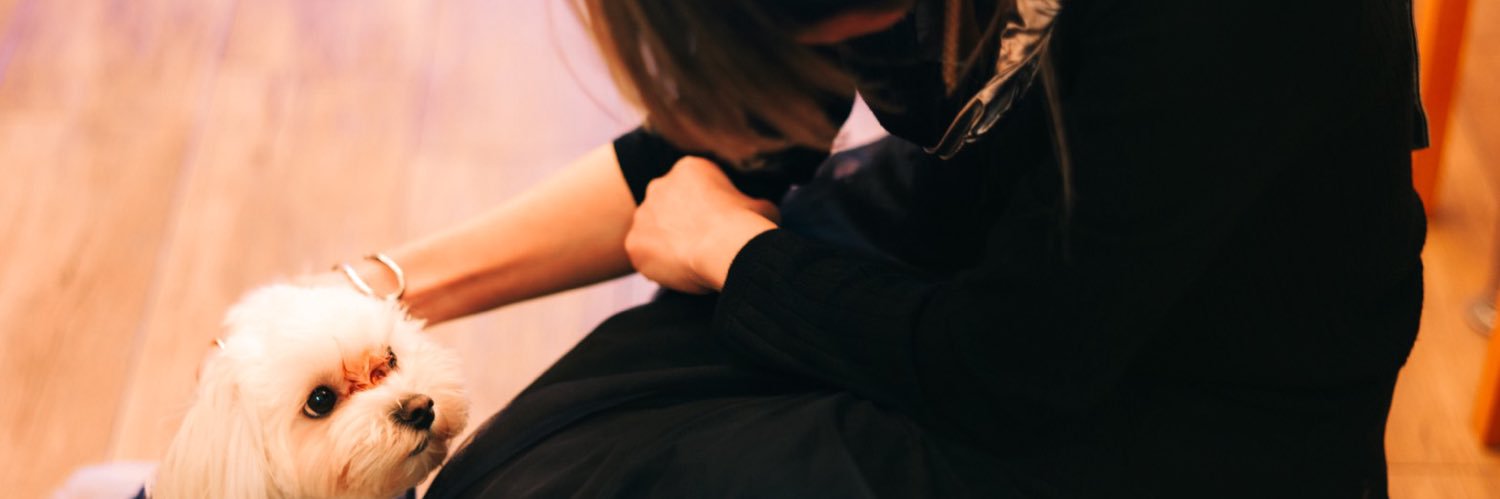 Choco Choco📸 banner