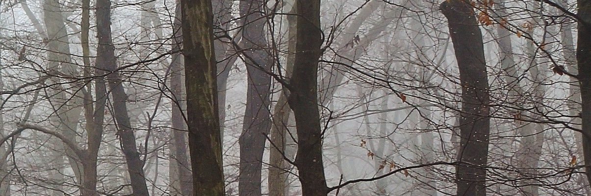 CrySky723's profile banner image