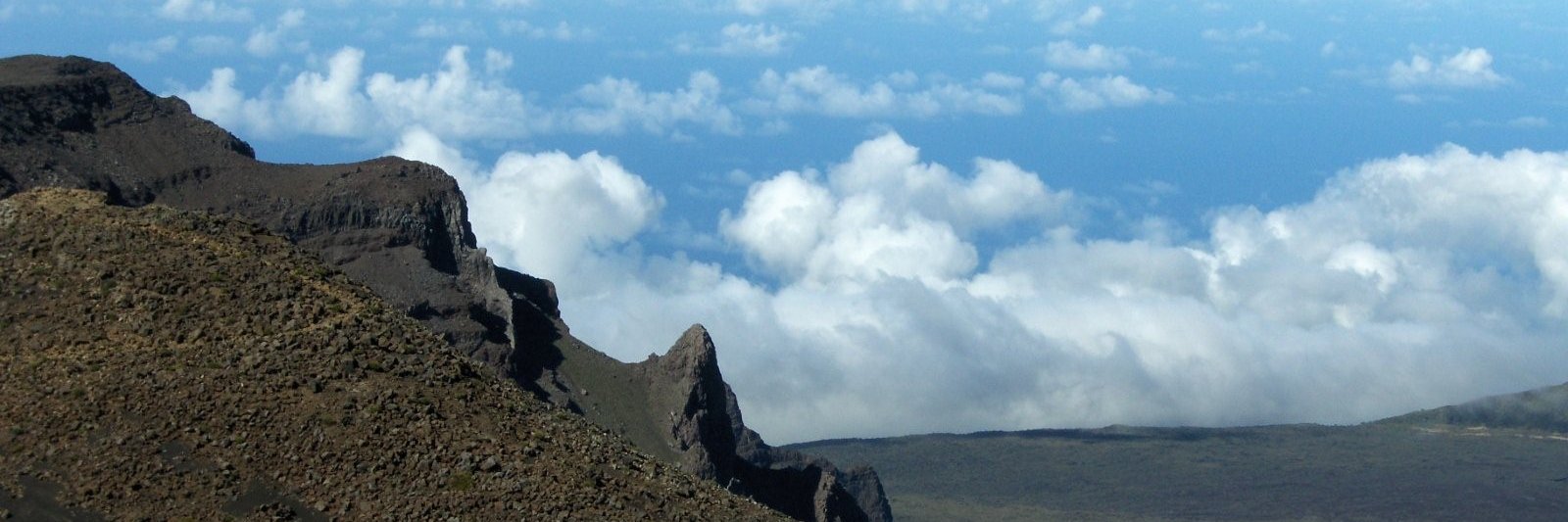 AdamReedSMB's profile banner image