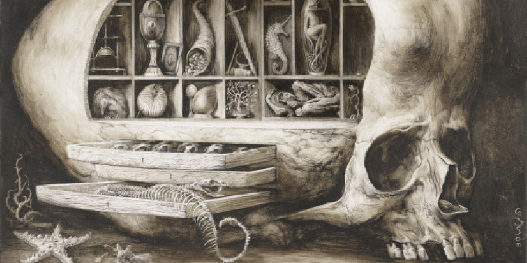 ProfessorNiedermeier banner