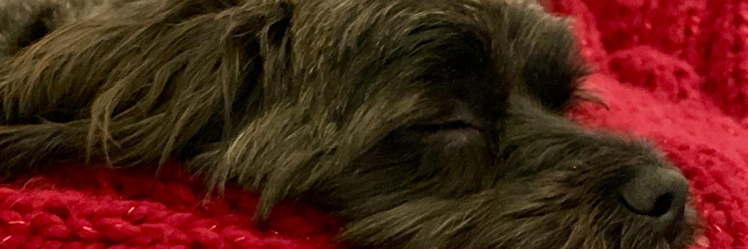 thinknpink's profile banner image