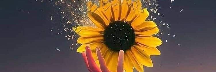 ivethcoronado's profile banner image