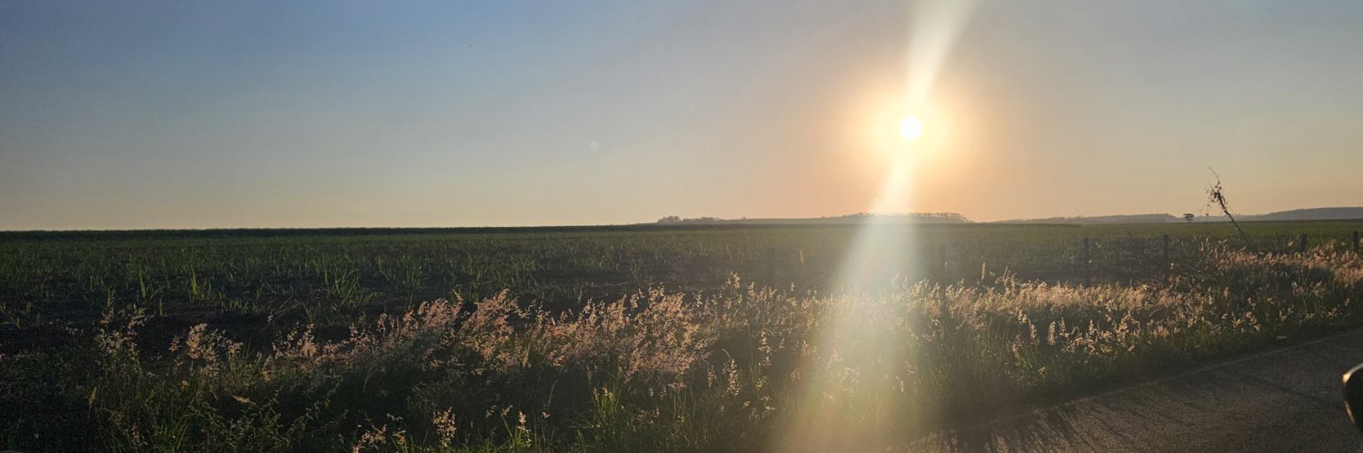 fmelo_c's profile banner image
