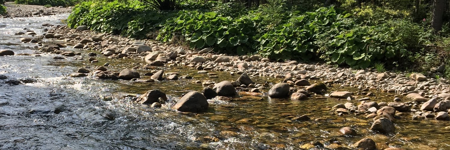 MiraSamczyk 🌸🌞🚜 banner