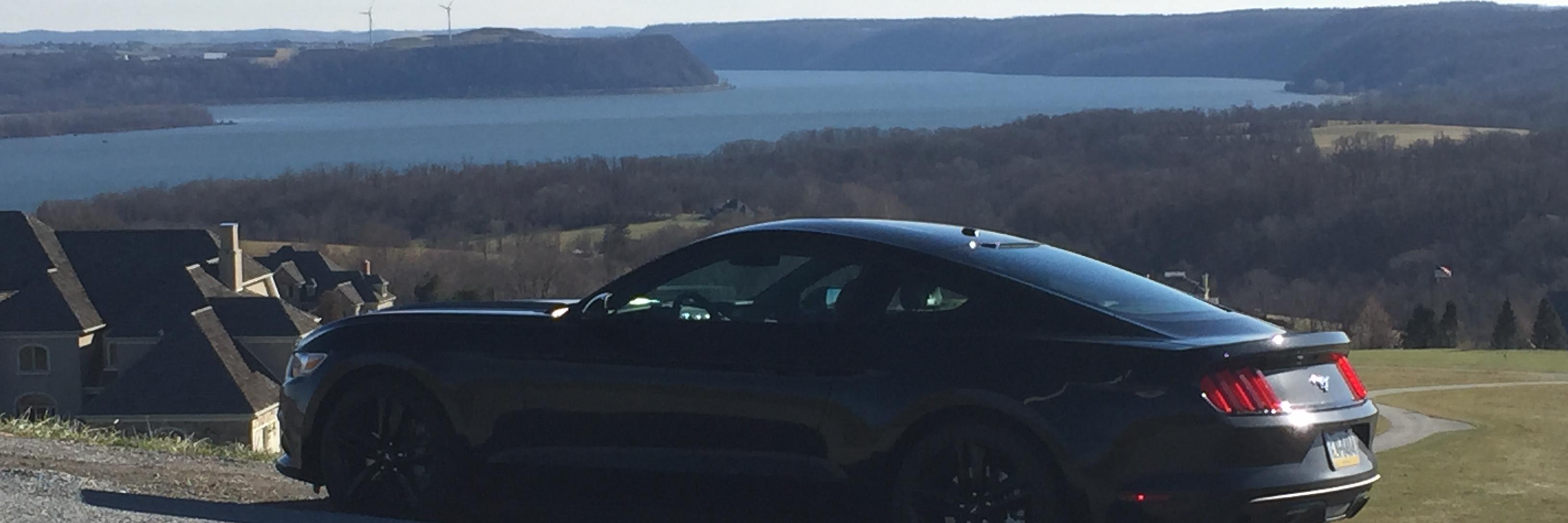 Humster21's profile banner image