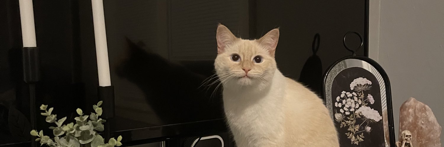 taylorparle24's profile banner image