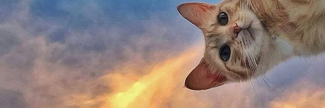 aaeswey's profile banner image