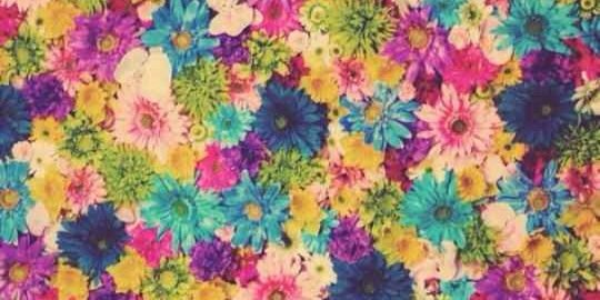 emparkerrr's profile banner image