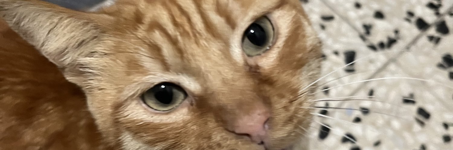semaattas's profile banner image