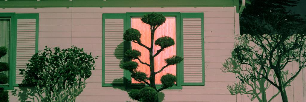 ☾ Gothic Lemon ☆ banner