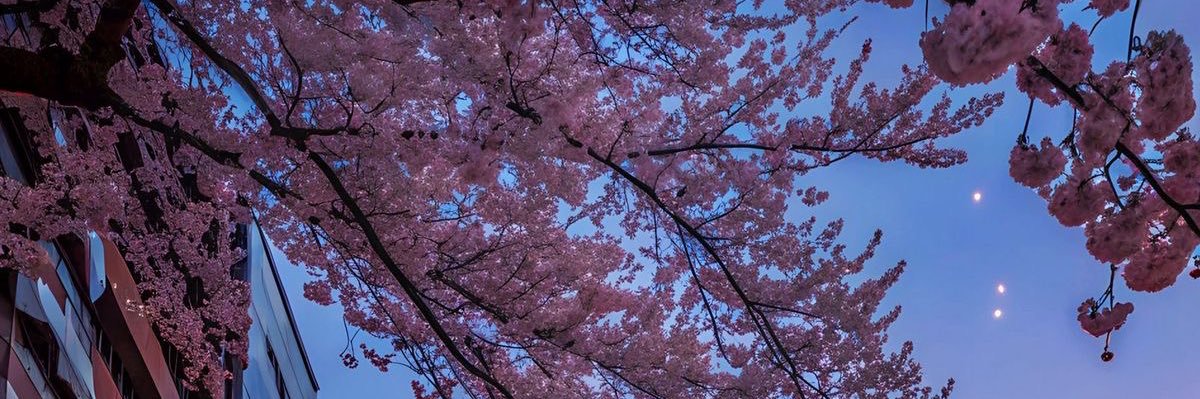moonhope21's profile banner image