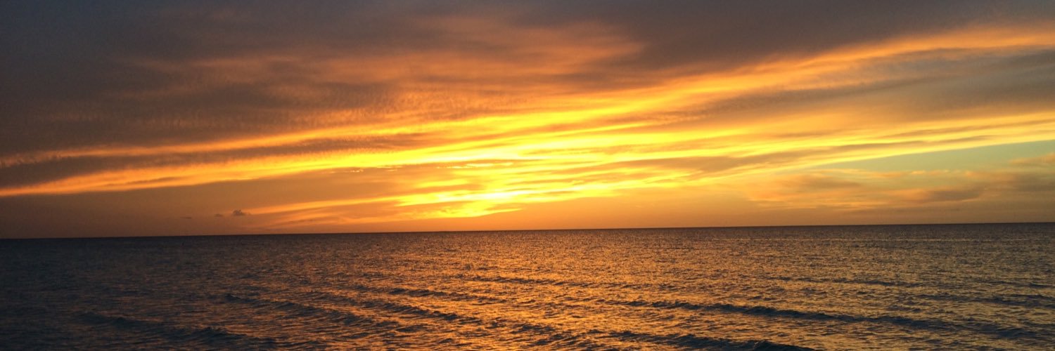 sabrinarizzo12's profile banner image