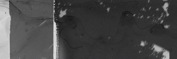 oldpainkiller Profile Banner