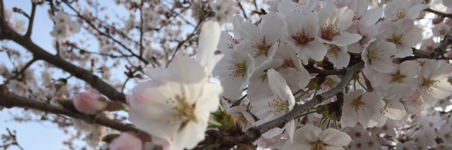 mk0624u's profile banner image