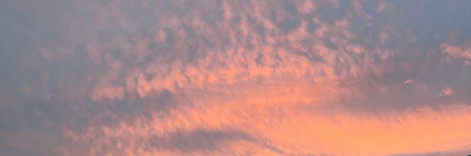 ssofialg's profile banner image