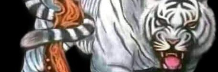 bunsaksono's profile banner image