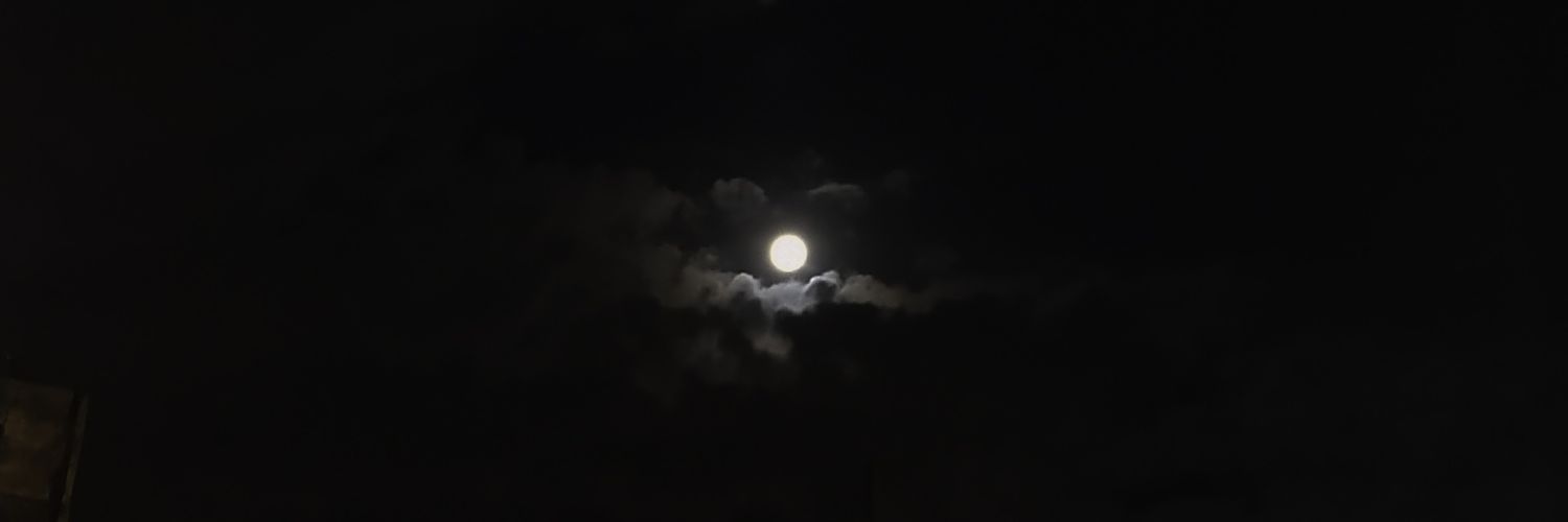 sanchezjulia_'s profile banner image