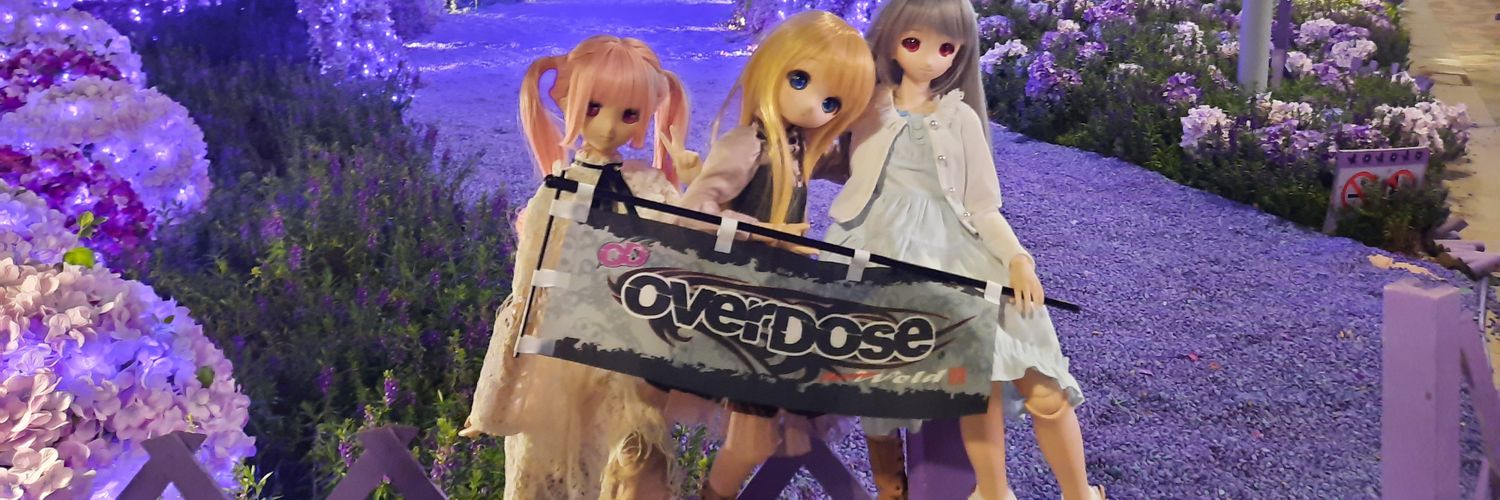 EMZ banner
