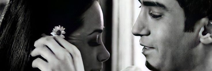 Soner banner