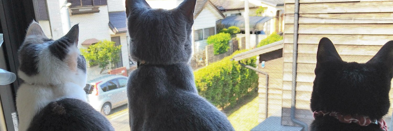 mIT-TAn💉💉💉＠横浜 banner