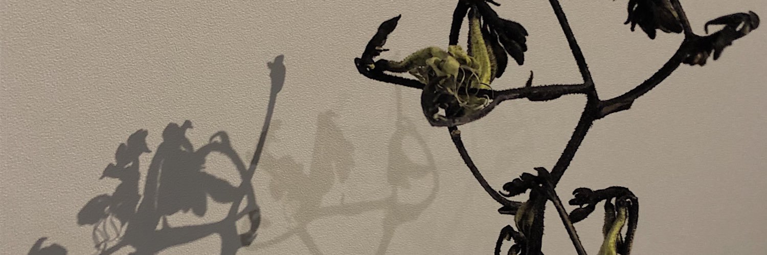 mkd2y's profile banner image