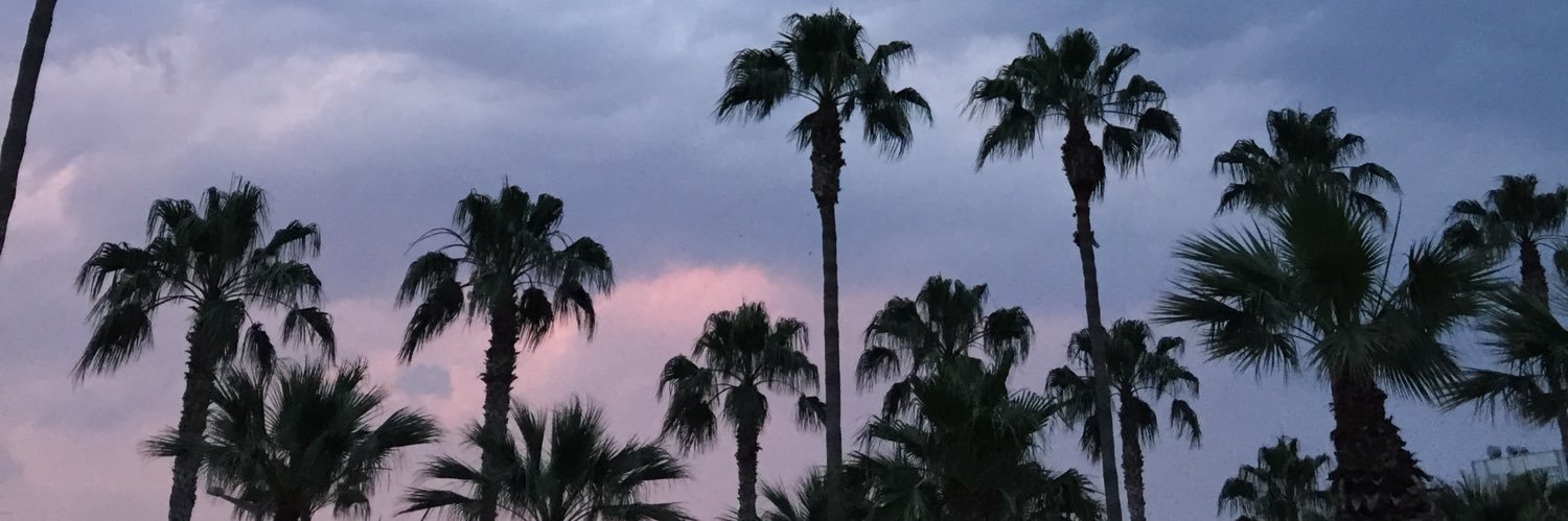 ogzhanks's profile banner image