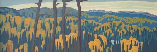 MollyJGraham1's profile banner image