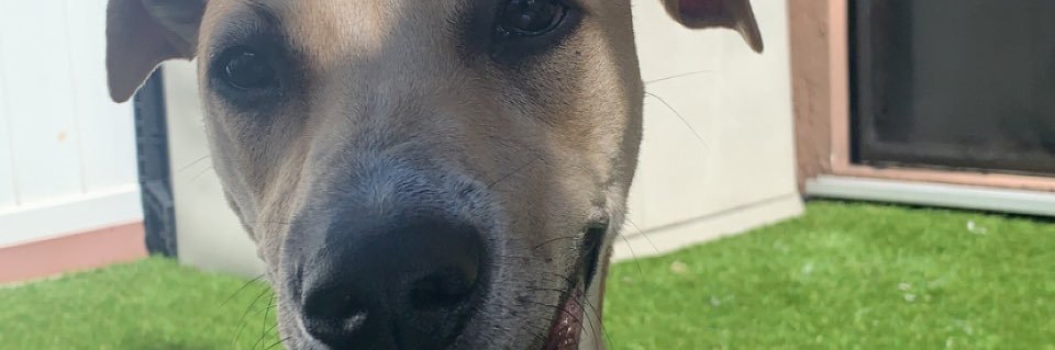 oriisiiraa's profile banner image