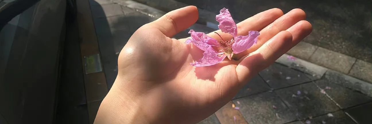 Lightly banner