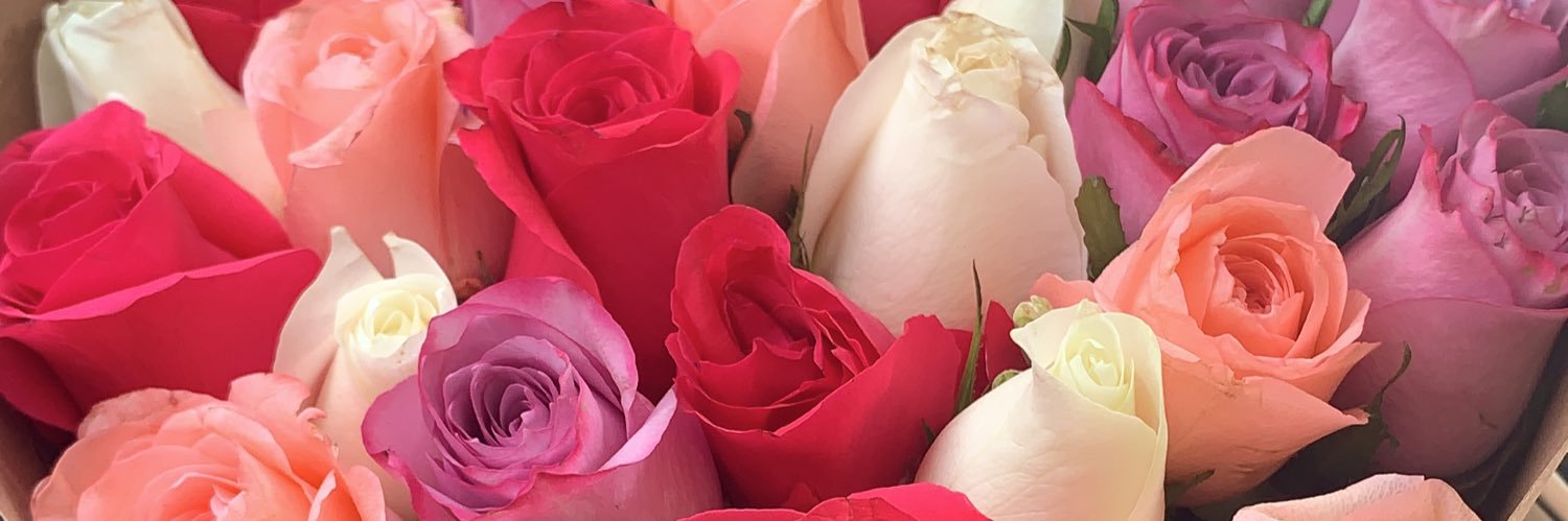 nancast95's profile banner image