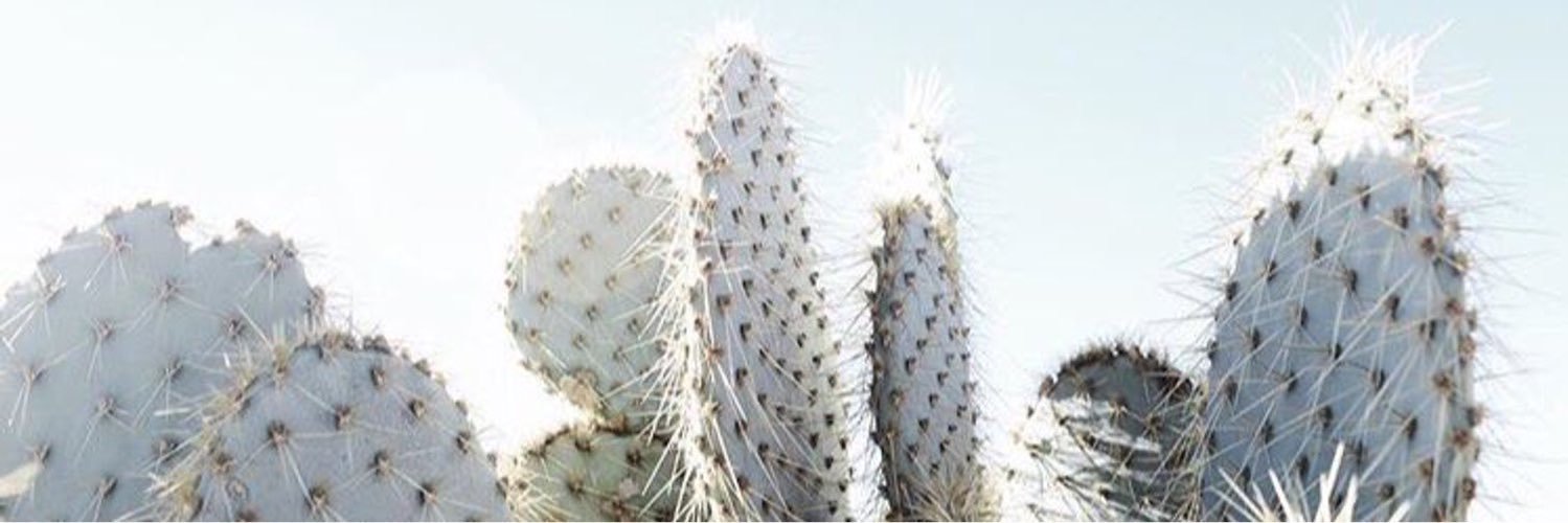 AlbaGSalas's profile banner image