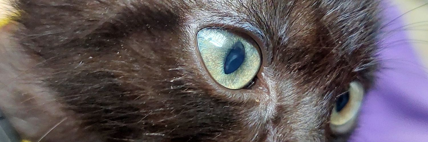 karimexochoa's profile banner image