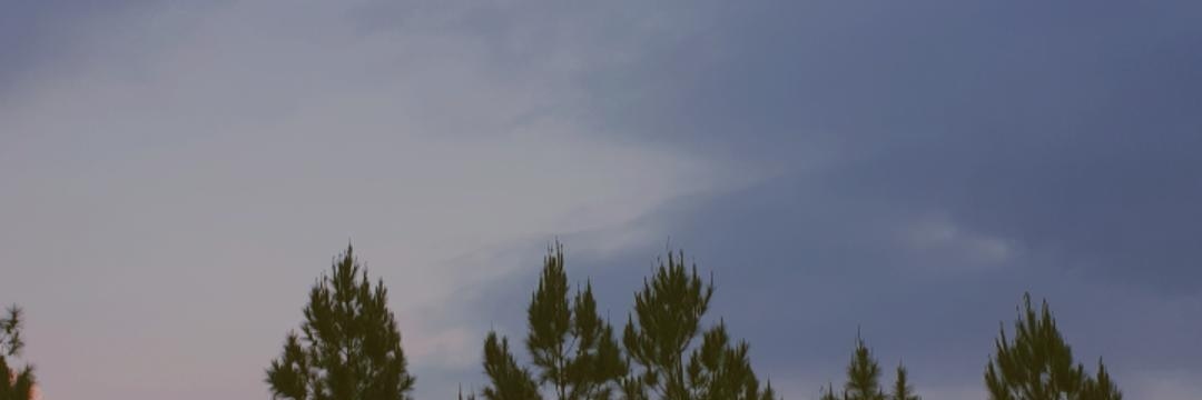 bonjavenue banner