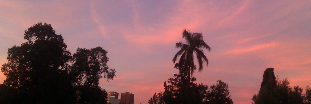 Dr Hannah Murray banner