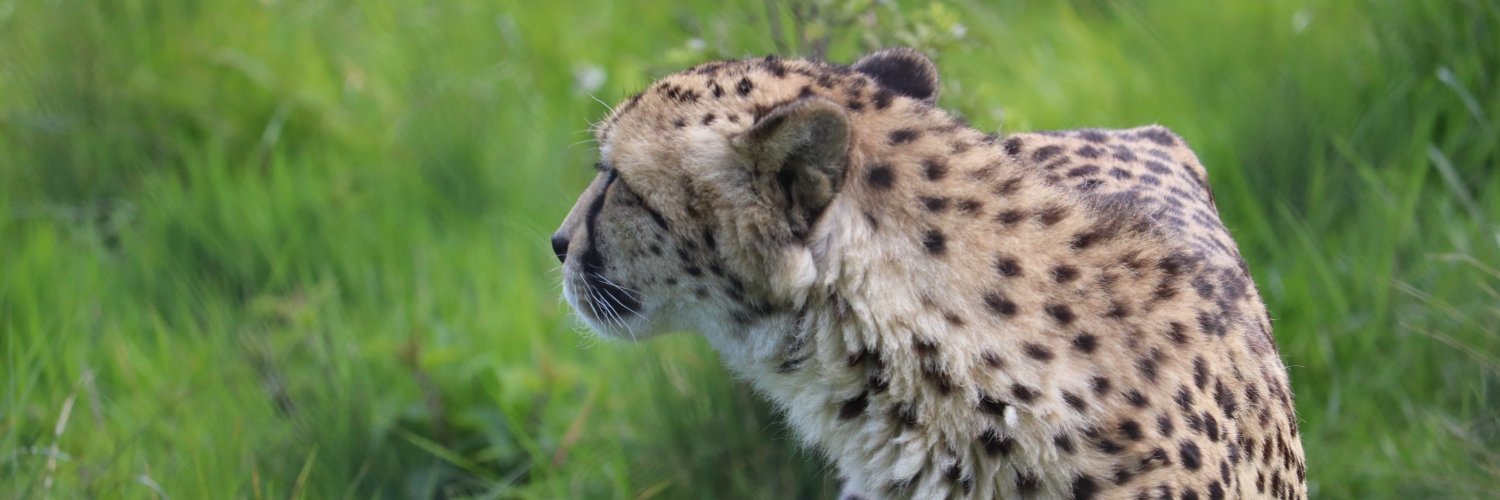 Luke Grinham, PhD banner