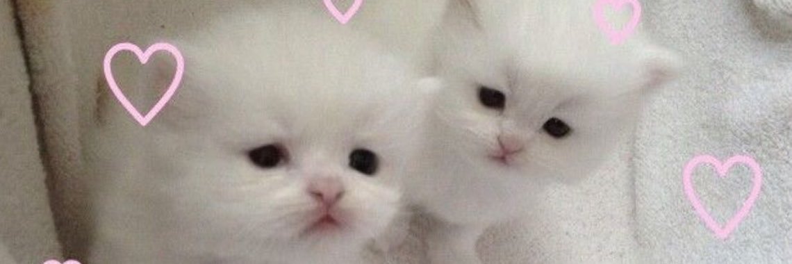 Bumverse_'s profile banner image
