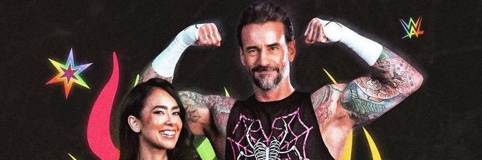 cmpunkfight's profile banner image