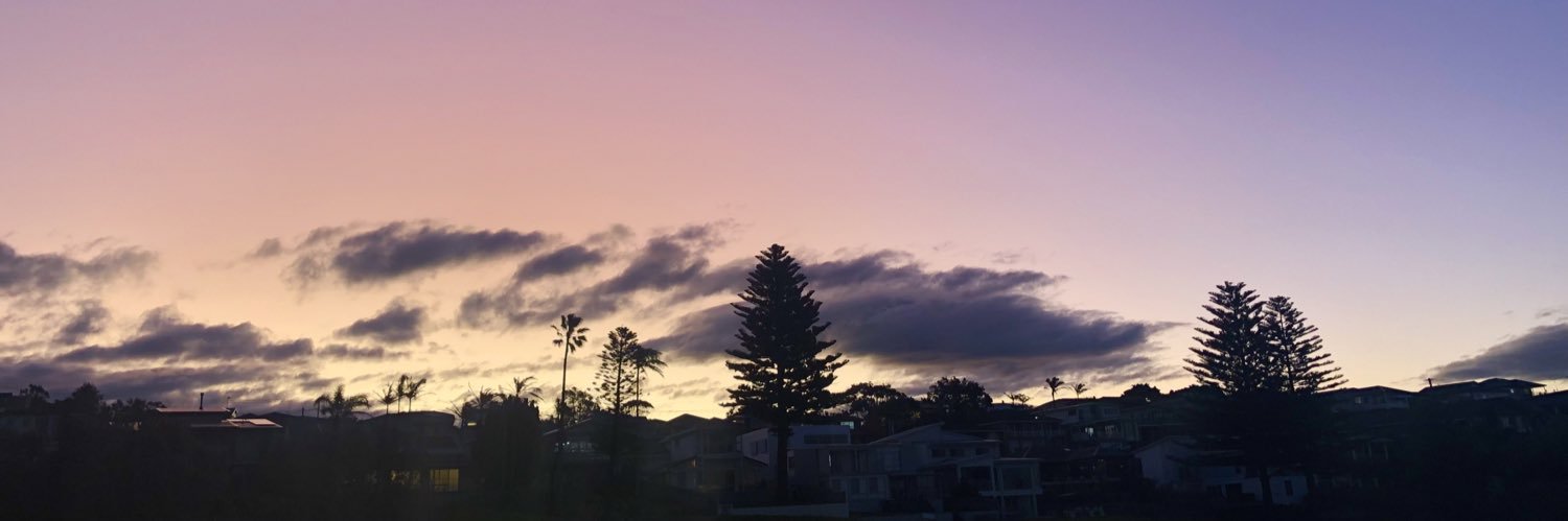 Annabelle Daniel OAM banner