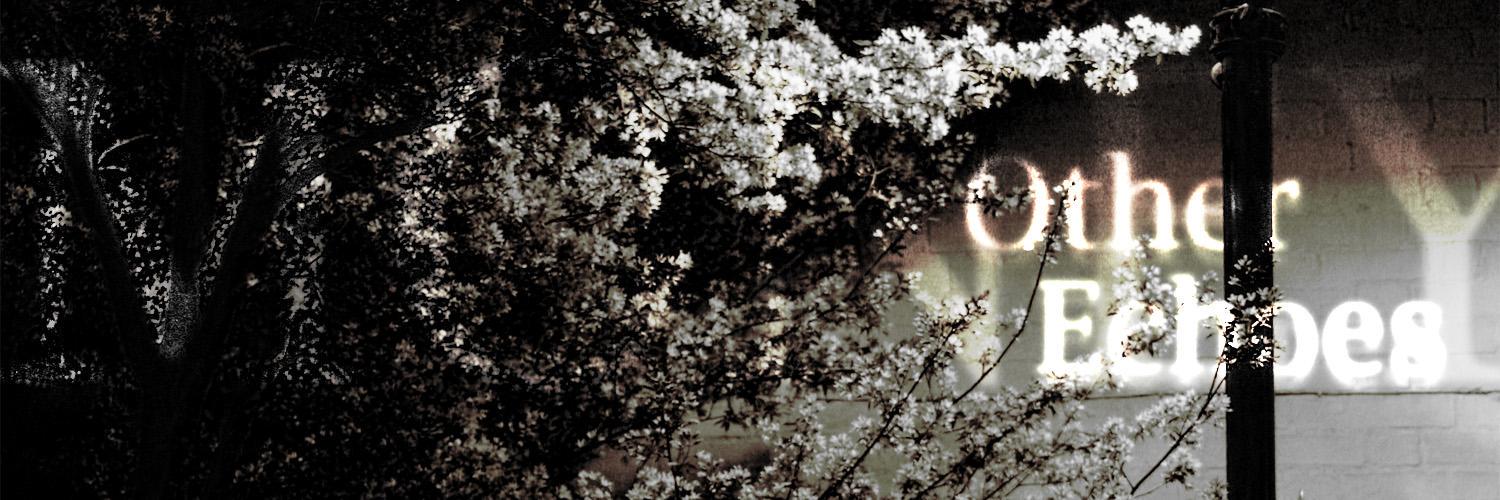 OtherEcho's profile banner image