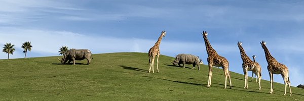 ZookeeperRick Profile Banner