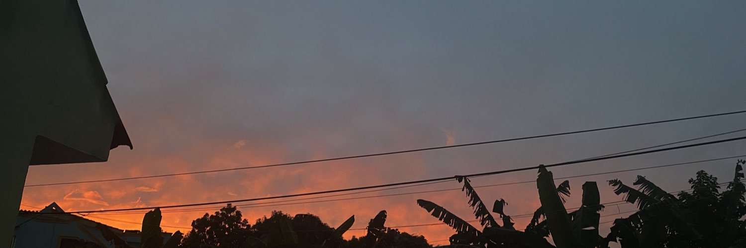DanelsyRobles's profile banner image