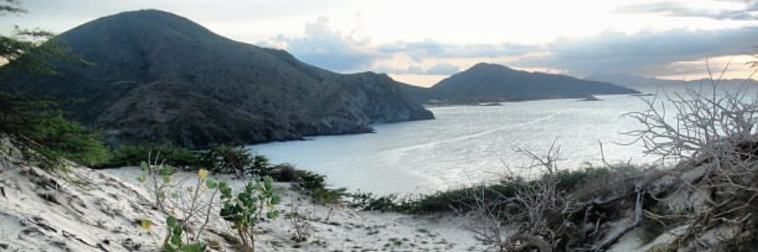 cisneanto's profile banner image