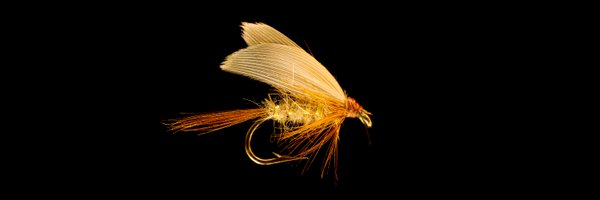 Delachute Profile Banner