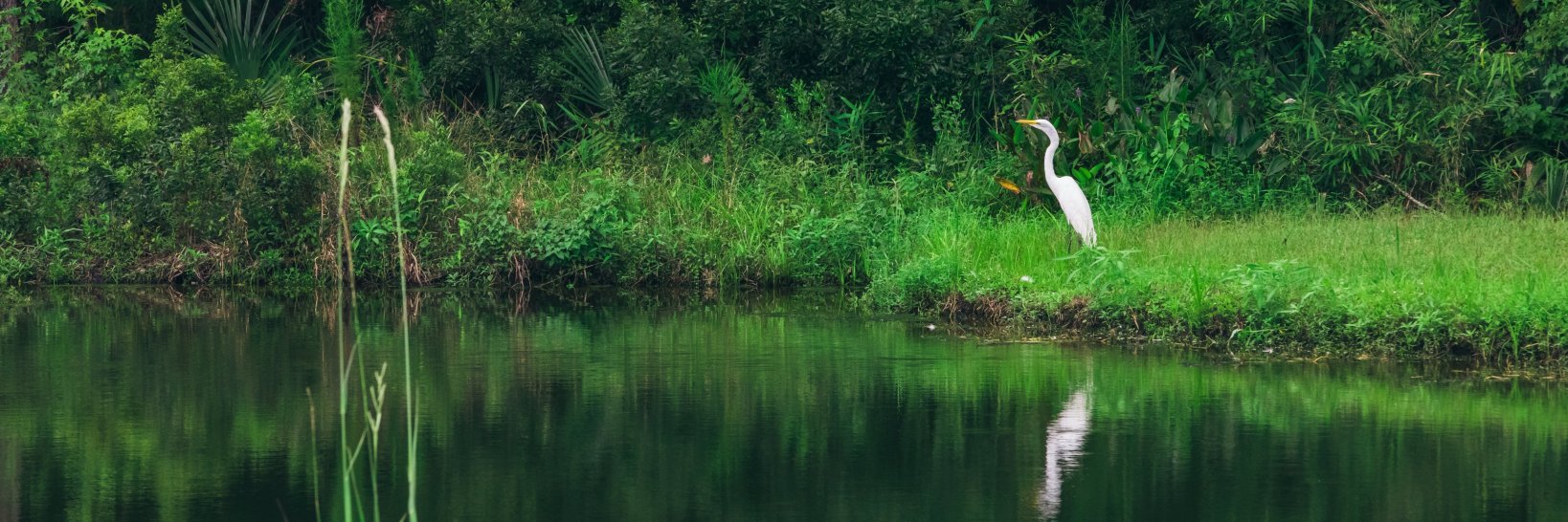 WescottGolf's profile banner image
